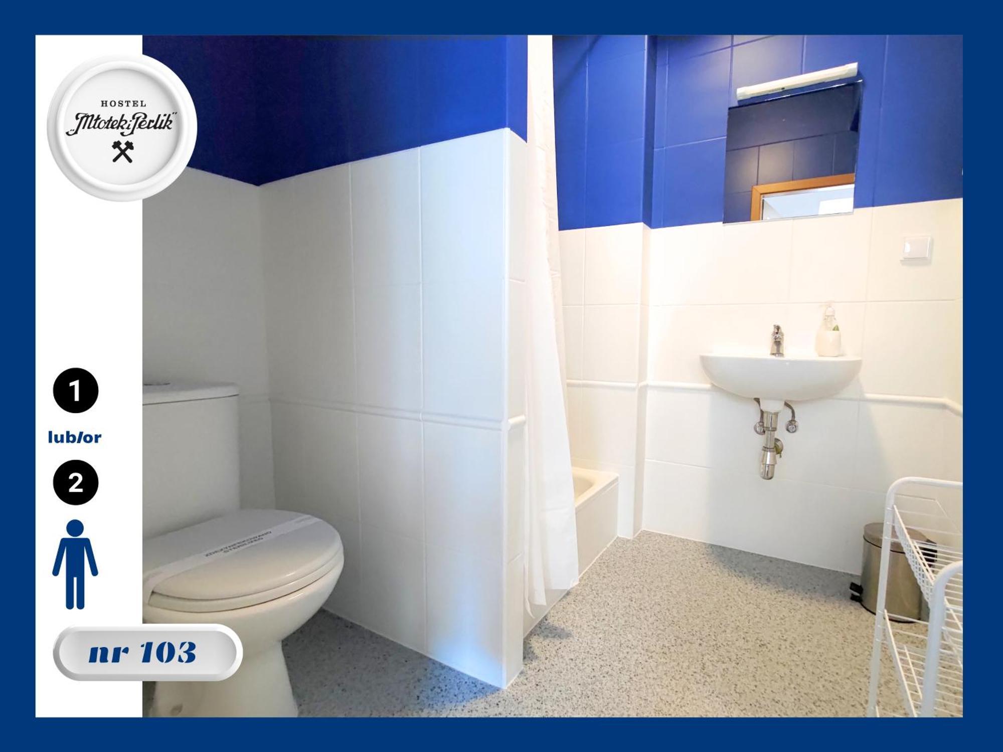 Hostel Mlotek I Perlik Tarnowskie Góry Extérieur photo